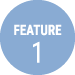 Feature 1