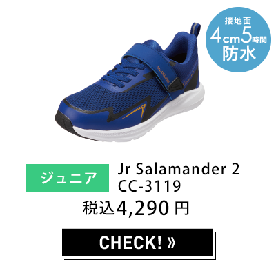 レディース セダークレスト Salamander 3 W CC-9455