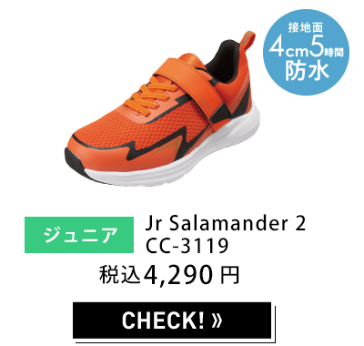 レディース セダークレスト Salamander 3 W CC-9455