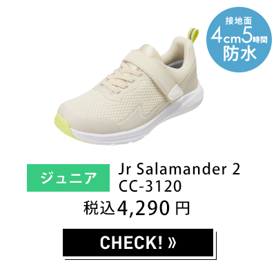 レディース セダークレスト Salamander 3 W CC-9455