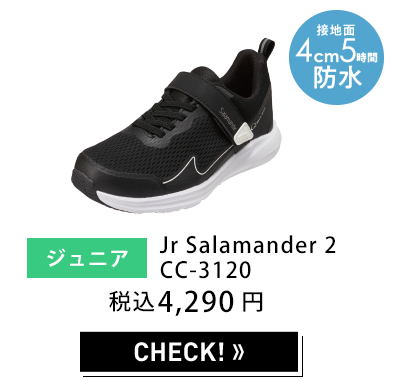 レディース セダークレスト Salamander 3 W CC-9455