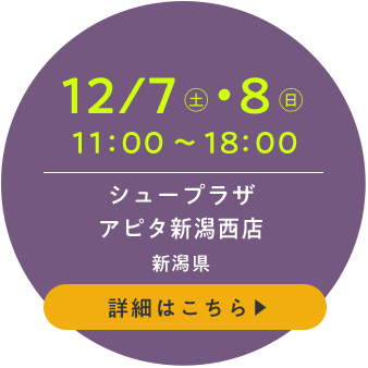 シュープラザ アピタ新潟西店(新潟県)