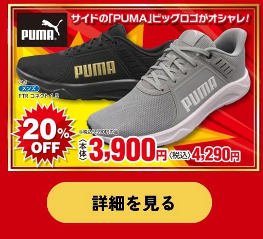 決算SALE