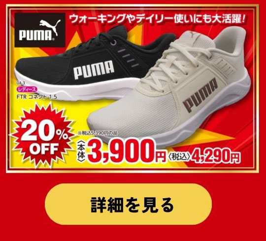 決算SALE