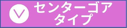 センターゴアタイプ