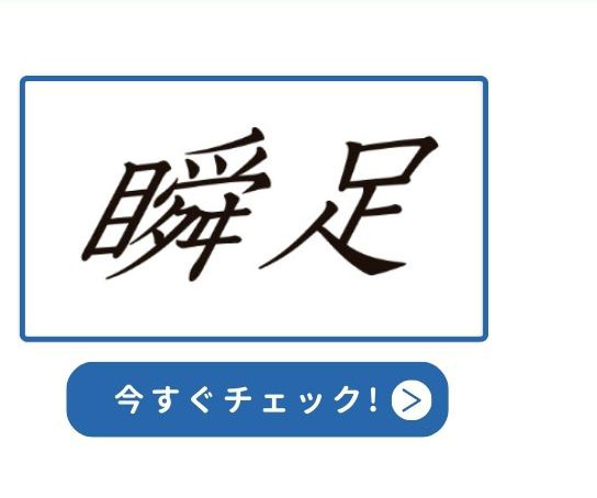 センターゴアタイプ