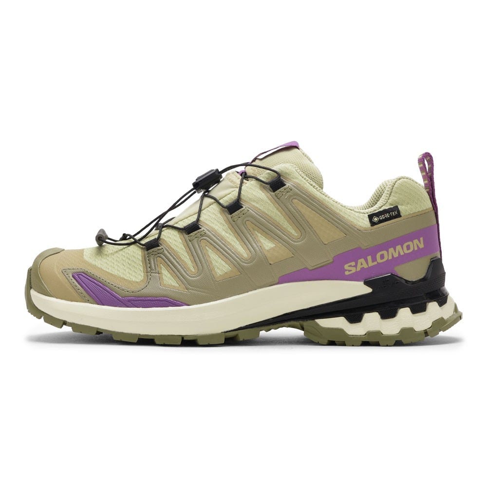 SALOMON サロモン XA PRO 3D V9 GTX W ベージュ レディース | 靴