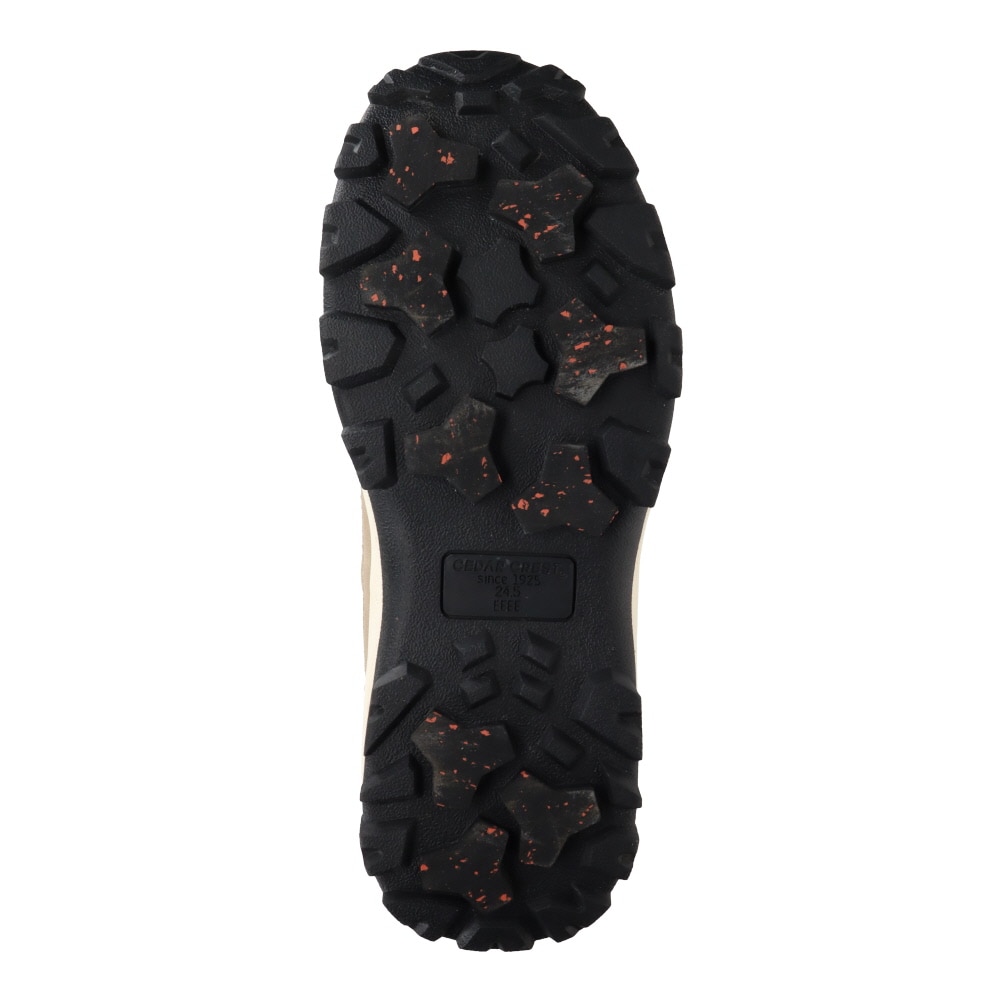 スパットシューズ