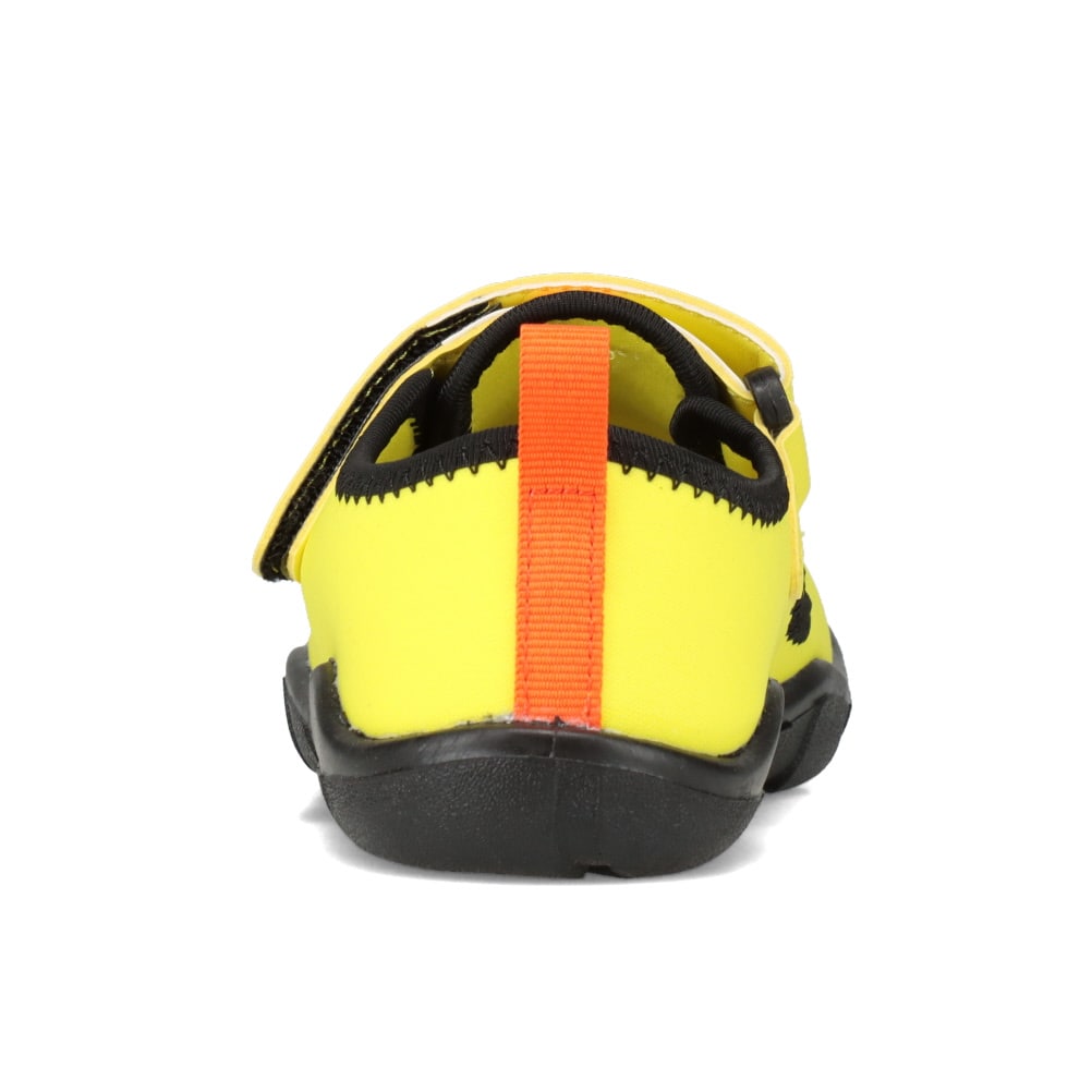 アクアシューズ