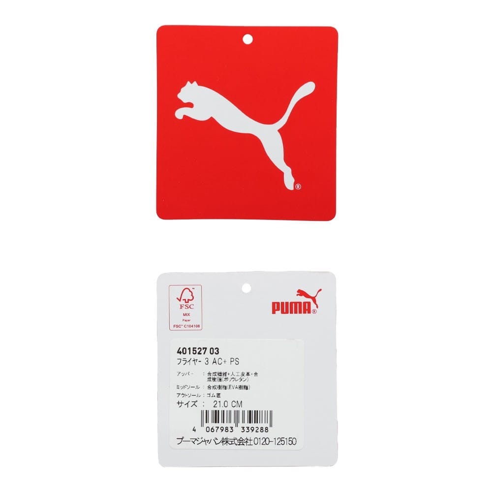 フライヤー 3 AC+ PS