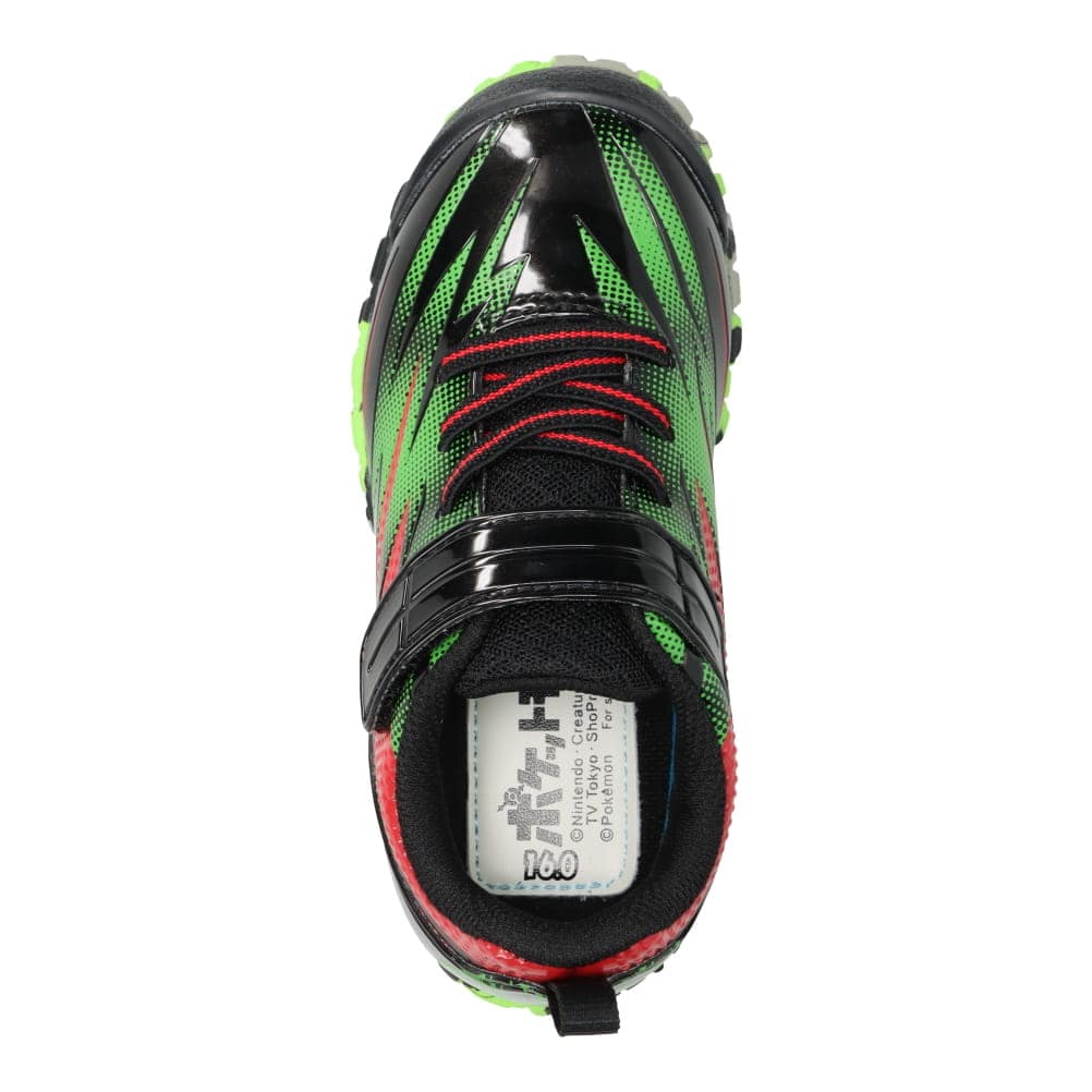 【レックウザ】ガチ強 ポケモン