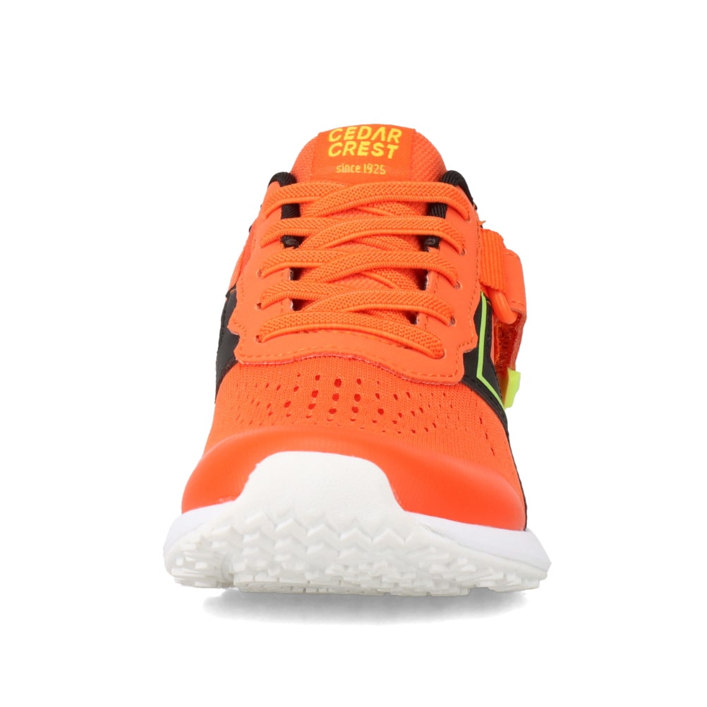 スパットシューズ（スニーカータイプ）