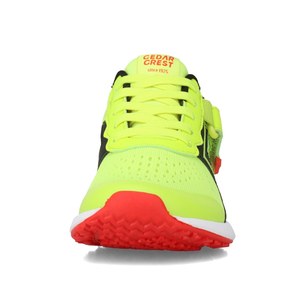 スパットシューズ