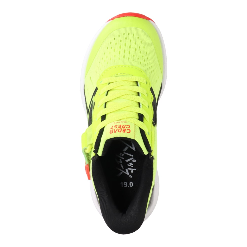 スパットシューズ