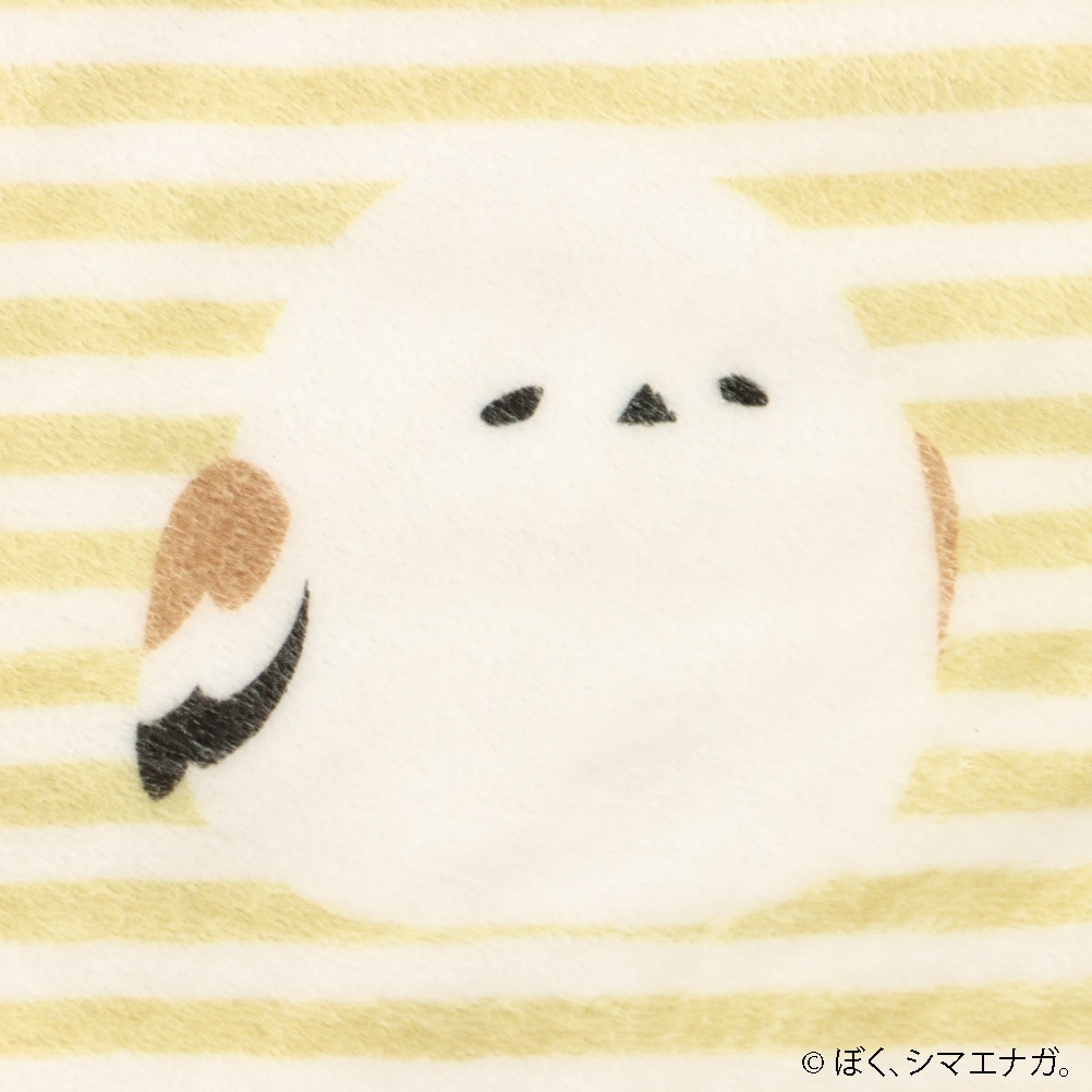 ぼく、シマエナガ。ブランケット