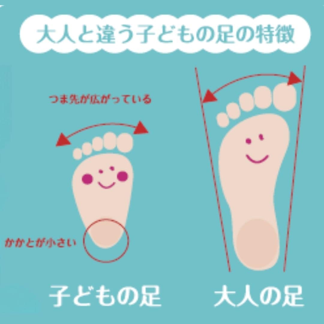 上履き（キャンバス ｜ バレエタイプ）2E 日本製 テフロン加工【15.0cm～21.0cm】
