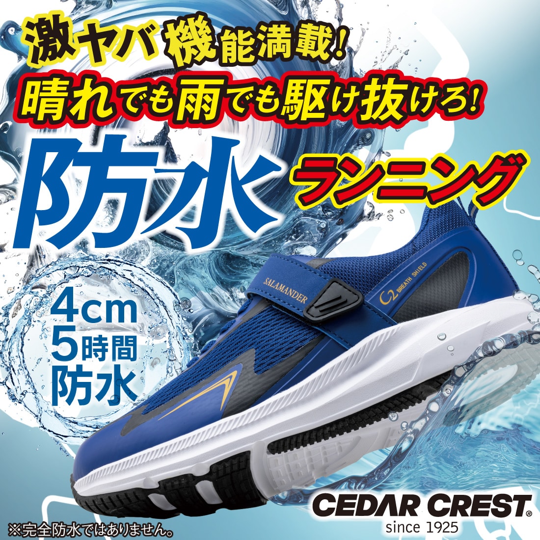 透湿防水ユーティリティスニーカー CP-BLKCNL【春の運動会キャンペーン対象商品】