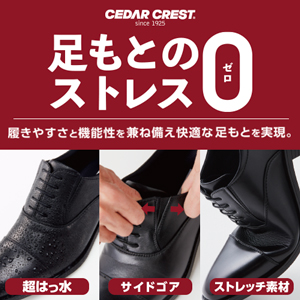 メンズ | 靴・スニーカーの通販 kutsu.com│チヨダ公式オンラインショップ