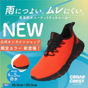 靴（シューズ）・スニーカーの通販 kutsu.com│チヨダ公式