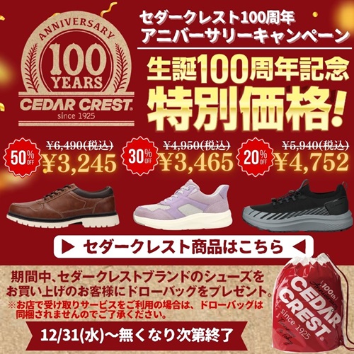 CCドローバッグ　プレゼント